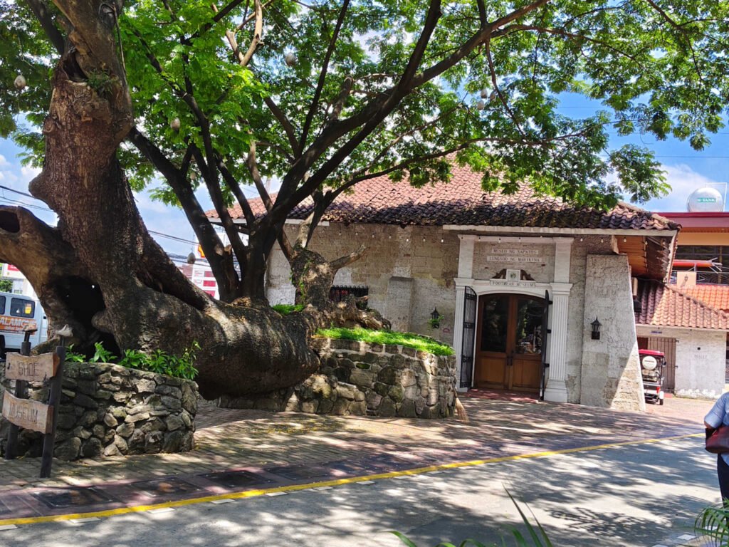 11 museum entrance tree